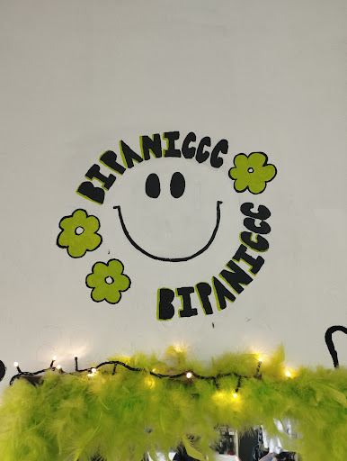 Bipaniccc - Visual