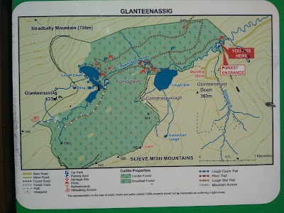 Photos of Glanteenassig Forest Park