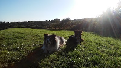 Photos of Lya's holiday home
