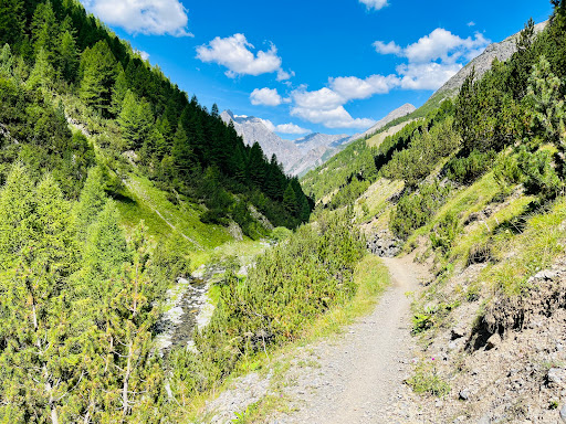 Val Tort - Visual