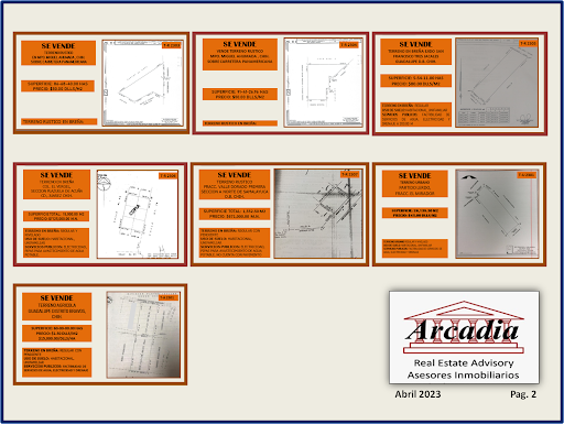 Arcadia Real Estate Advisory - Thumbnail