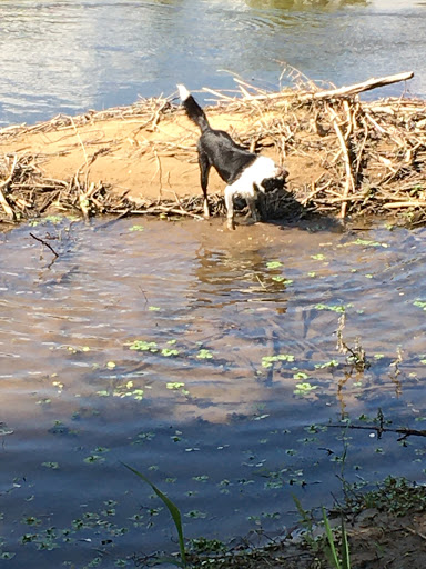 Camping De La Rivière De Prats - Thumbnail