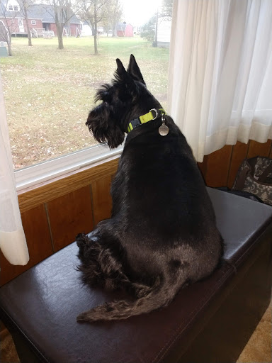 Ft Recovery Veterinary Center - Thumbnail