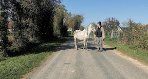 Photo n°15 de FLAM& CO PARADISE à Vendeuvre (Association bénévole)