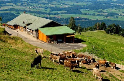 Photos of Allg&auml;u Urlaub Online
