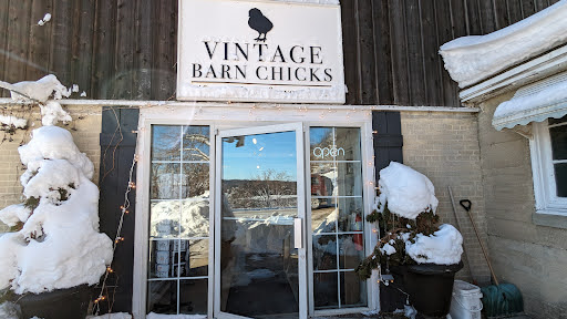 Vintage Barn Chicks - Thumbnail