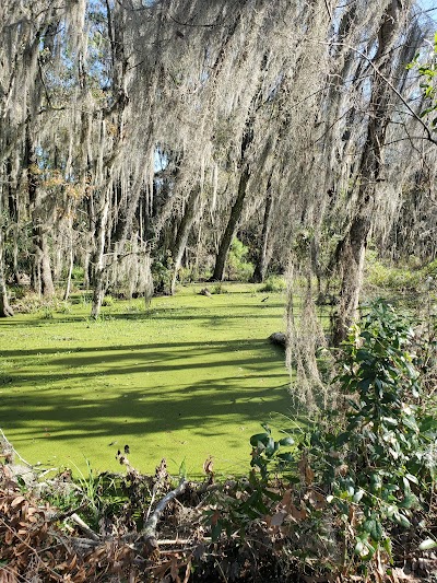 Barr Hammock Preserve