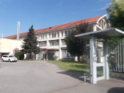 Bravo Mobility Noleggio Lungo Termine