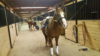 Photos of Saddlebrook Equestrian Center