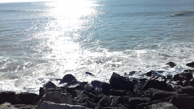 Plage des phoques