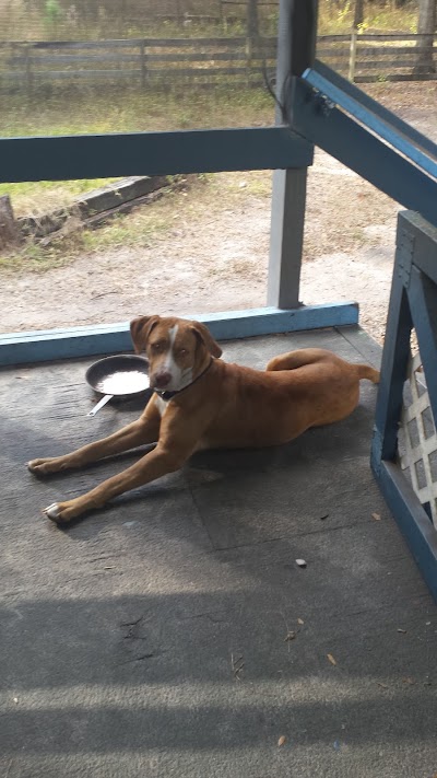 Photos of Trenton Animal Hospital