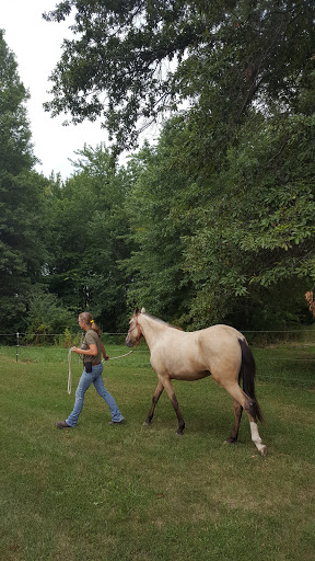Equine & Farm Supply - Thumbnail