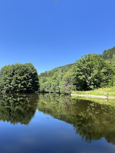 Photo de Camping LE LYZERON à Lamure-sur-Azergues (69870)