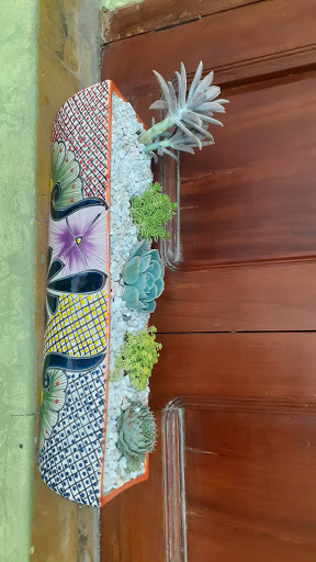 Vivero el Molino