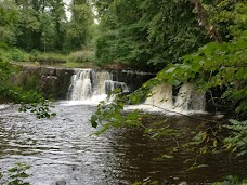 Linn Park glasgow