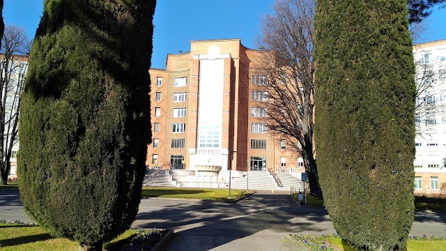 Azienda Socio Sanitaria Territoriale degli Spedali Civili di Brescia