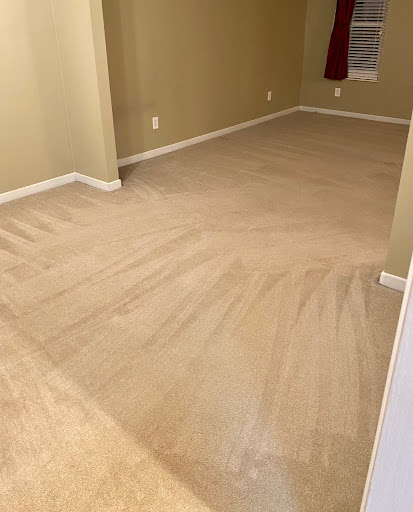 Carpet Care Plus