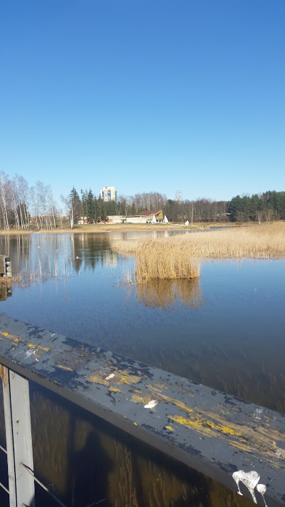 Photos of Elektrenu Mergeles Marijos Kankiniu Karalienes baznycia