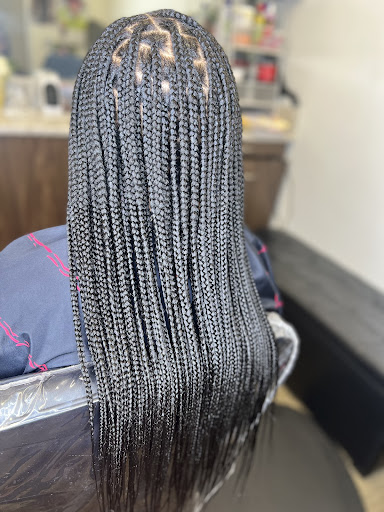 Braidstorms - Visual