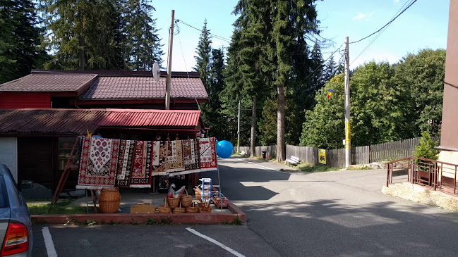 Hotel Bistrita - Hostal