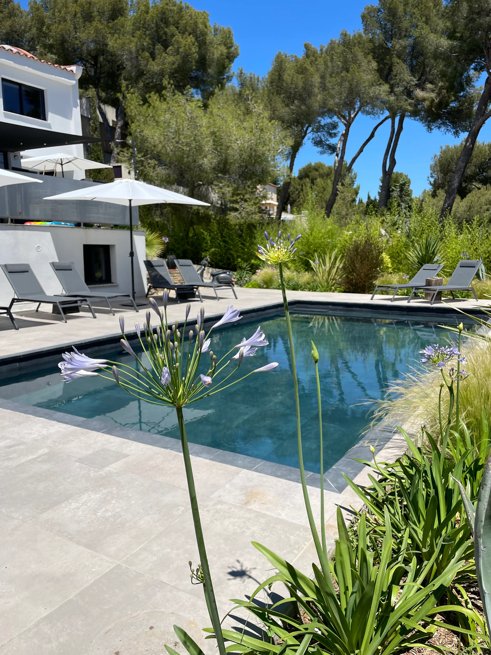 HOME CASSIS. Maison Julou