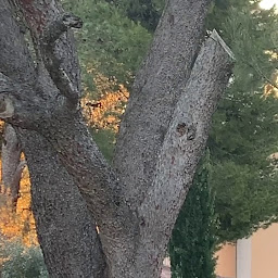 Photo n°8 de Le Mas Saint Gens à Carpentras (Lieu de mariage)