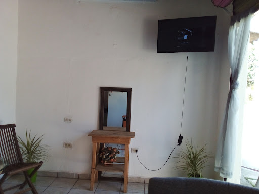 Studio ROGA - Visual