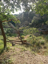Photo n°8 de La Bartassière à Neffiès (Ferme)