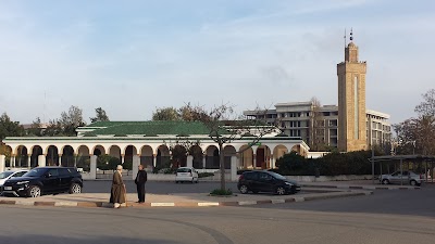 Photos of Ryad Mosque