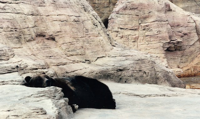 Assiniboine Park Zoo