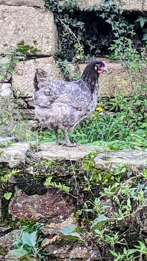 Point de vue du Jardin public - Thumbnail