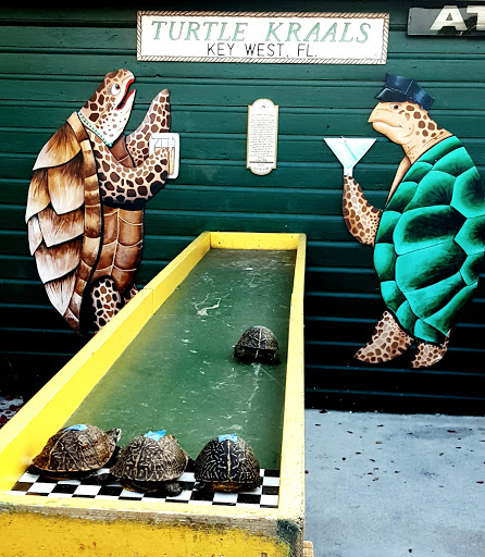 Turtle Kraals - Visual