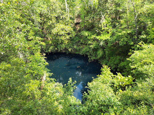 Apalachicola Wildlife Management Area - Thumbnail