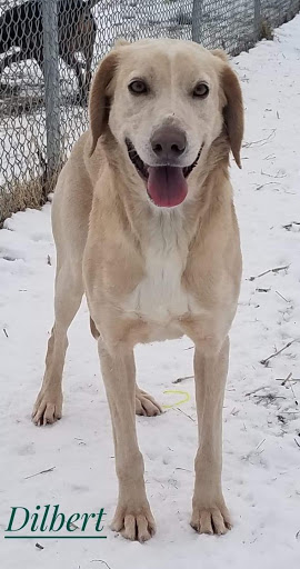 Lapeer County Animal Control - Thumbnail
