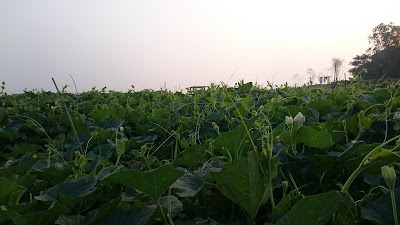 Photos of Kachkura Bus Stop