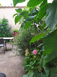 Photo n°17 de Naturel Coiffé à Auxerre (Salon de coiffure)