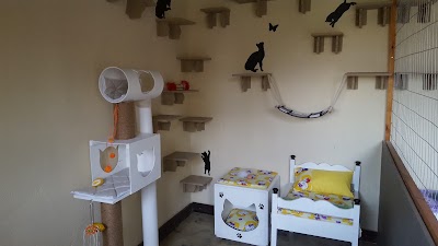 Photos of AllPaws Lodge