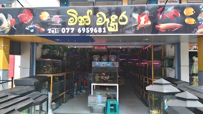 Photos of Sha Aquarium