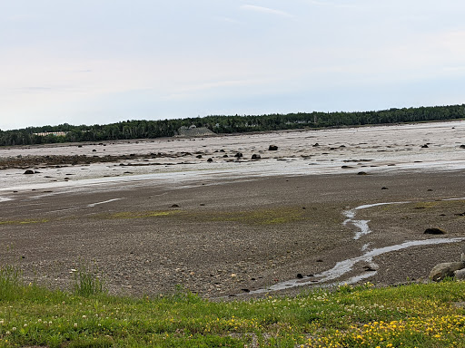 Bar Harbor Foods - Thumbnail