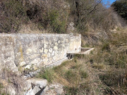 Fuente Del Monte