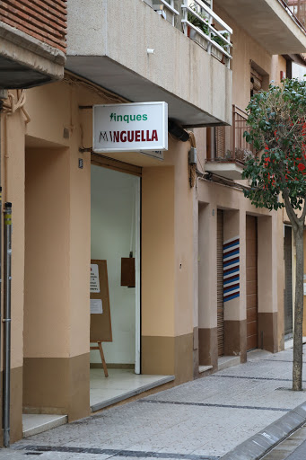 Finques Minguella - Thumbnail