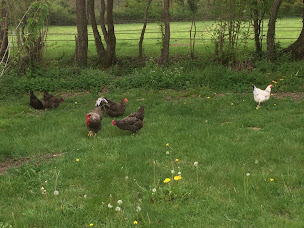 Photo n°19 de Domaine Le Rianon à Malleret-Boussac (Hébergement)