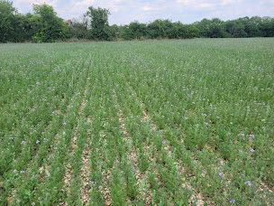 Photo n°18 de La Ferme des Cinq Terres à Lugny-Champagne (Ferme)