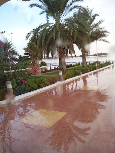 Photos of Guemar Airport