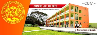 university
