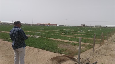 Photos of Farm mutaib Khurainej