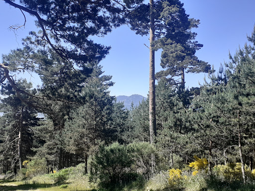 Alto del casetón - Thumbnail