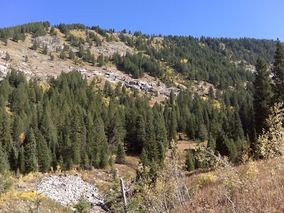 Jedediah Smith Wilderness