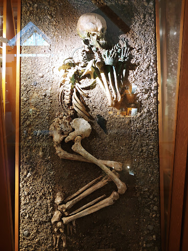 Urzeitmuseum - Visual