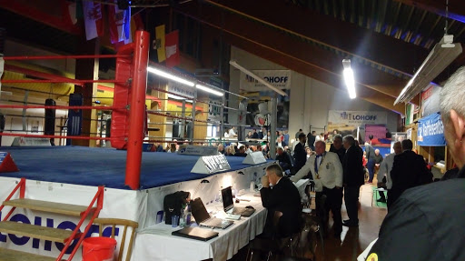 Ejadonhalle - Visual